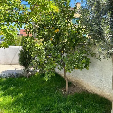 Apartment Garden One Bedroom