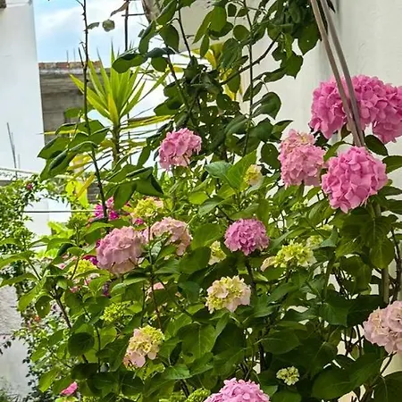 Garden One Bedroom Apartment *