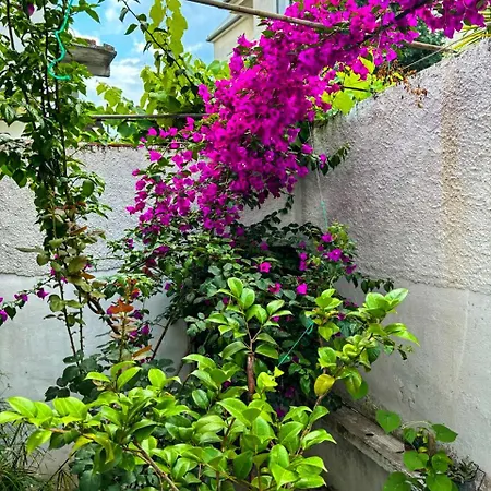 Apartamento Garden One Bedroom